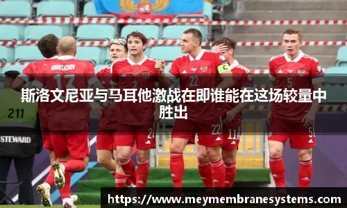 悟空体育斯洛文尼亚与马耳他激战在即谁能在这场较量中胜出